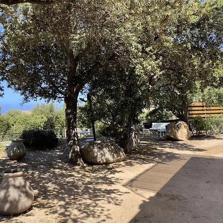 T3 De 80m2 Avec Piscine - Jardin - Vue Monticello